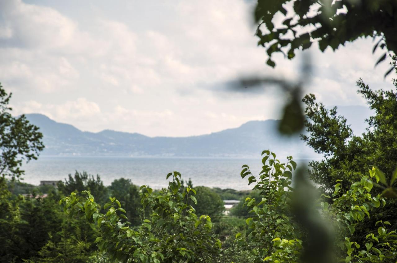 Lemontree House Bed & Breakfast Bacoli