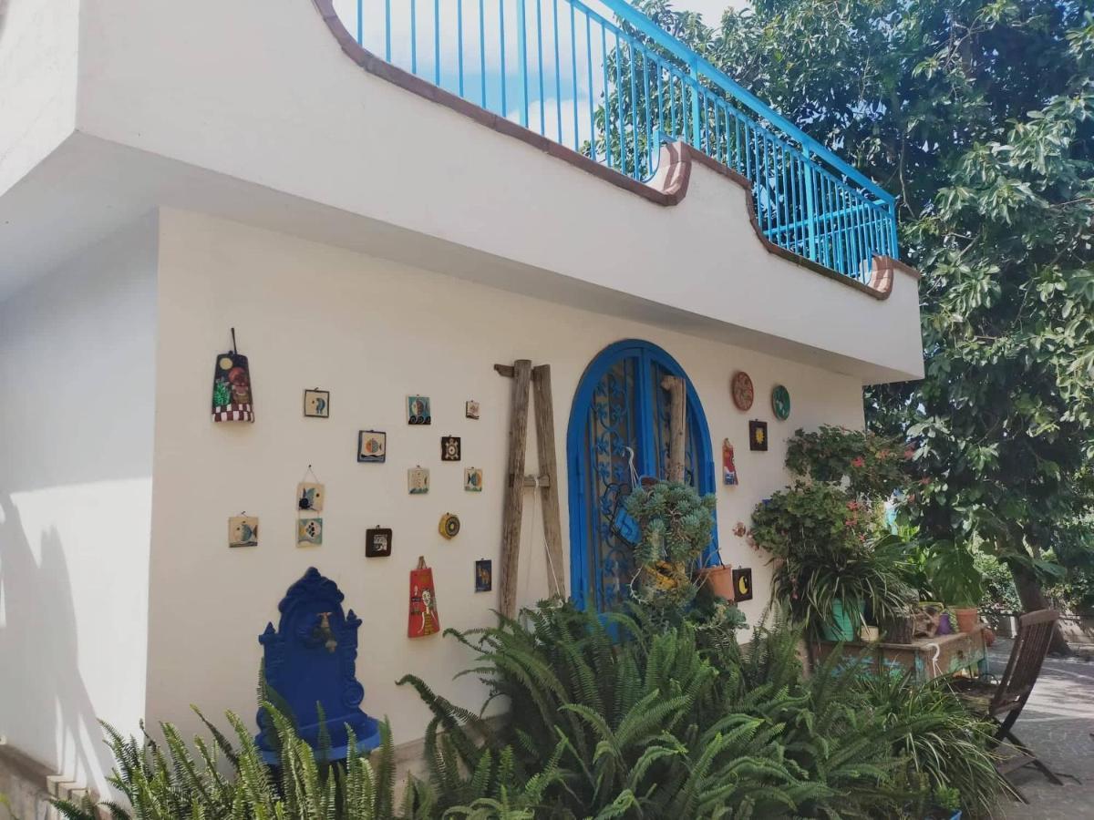 Lemontree House Bed & Breakfast