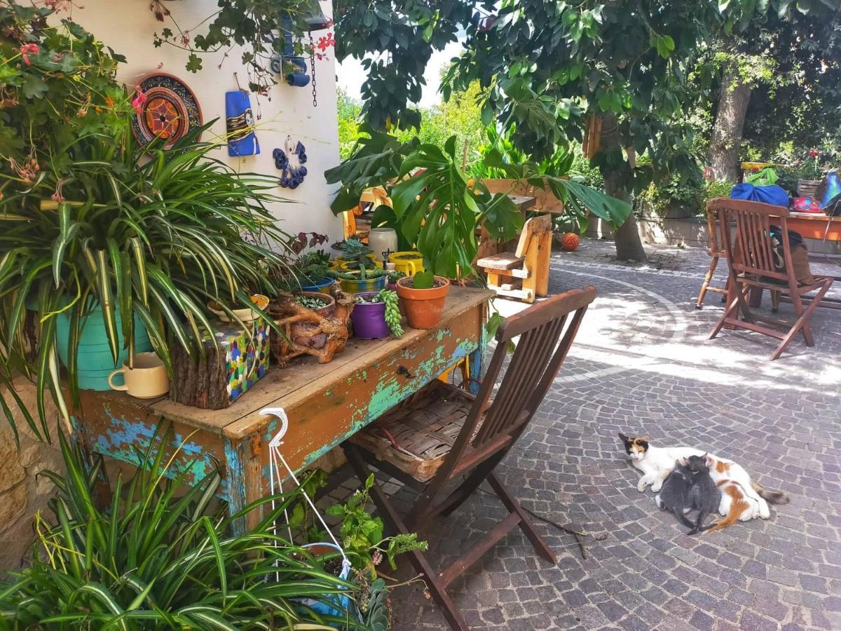 Bed & Breakfast Lemontree House Bacoli