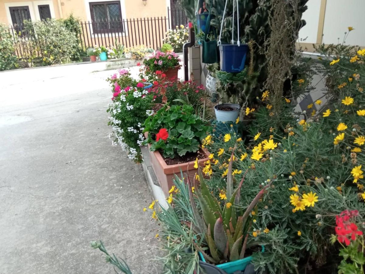 Lemontree House Bed & Breakfast Bacoli