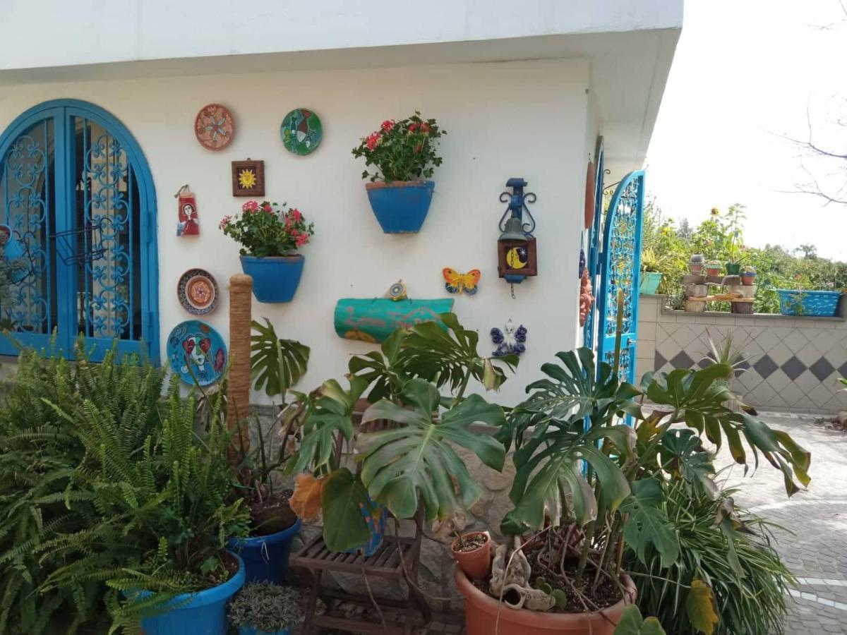 Bed & Breakfast Lemontree House