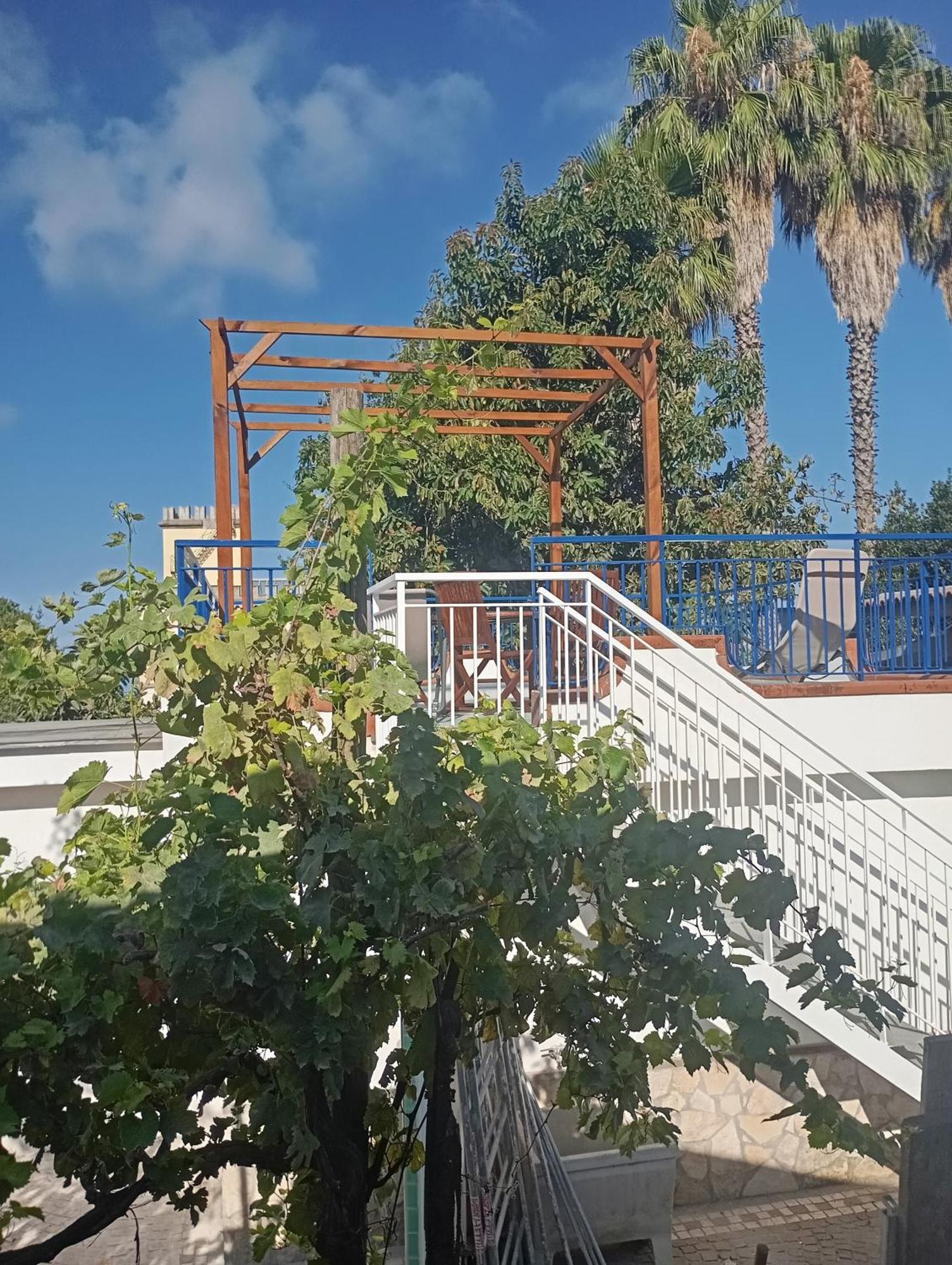 Lemontree House Bed & Breakfast *