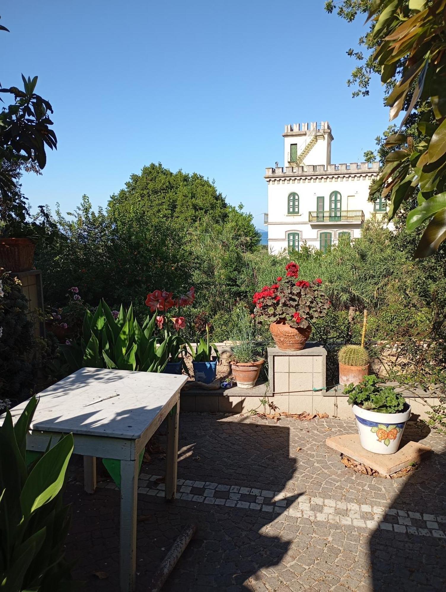 Bed & Breakfast Lemontree House *
