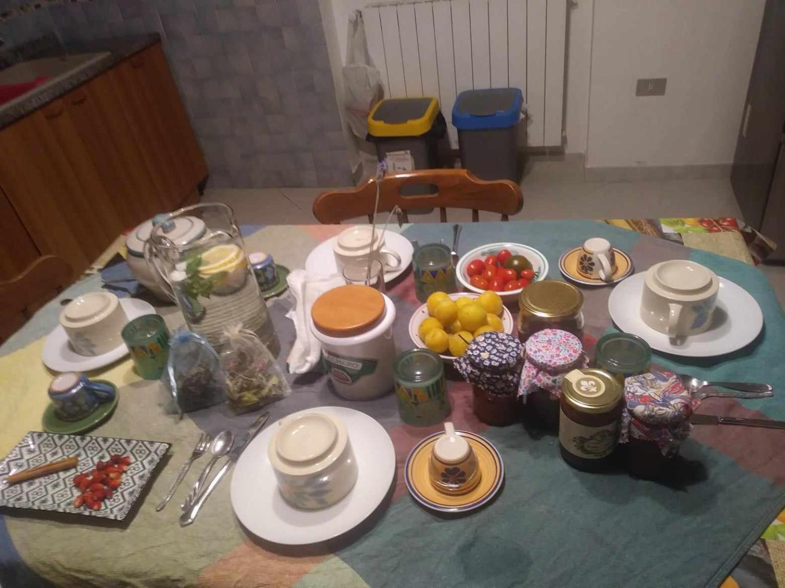 Bed & Breakfast Lemontree House